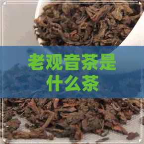 老观音茶是什么茶