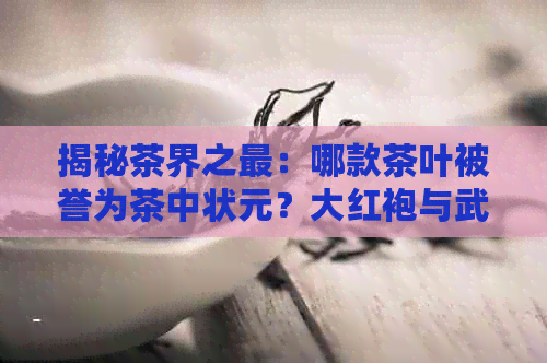 揭秘茶界之最：哪款茶叶被誉为茶中状元？大红袍与武夷并非唯一答案！