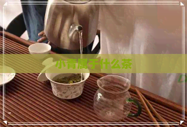 小青属于什么茶