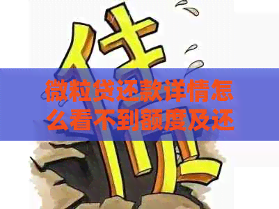 微粒贷还款详情怎么看不到额度及还款记录？