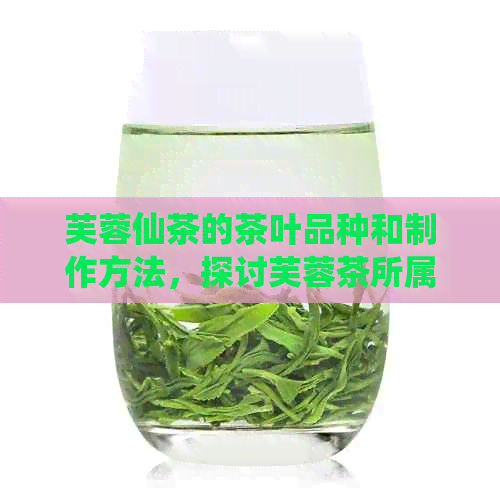 芙蓉仙茶的茶叶品种和制作方法，探讨芙蓉茶所属的茶类