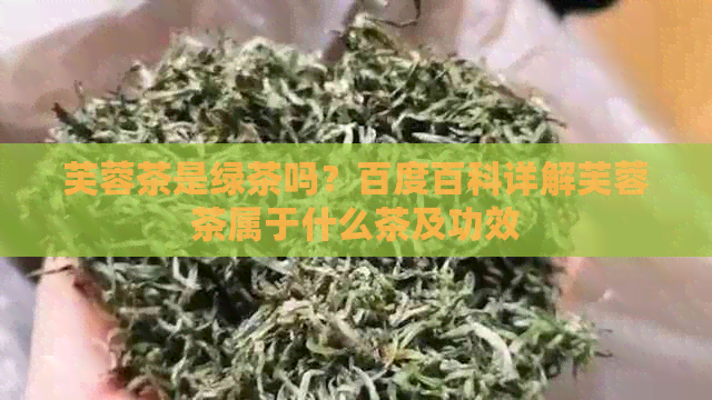 芙蓉茶是绿茶吗？百度百科详解芙蓉茶属于什么茶及功效