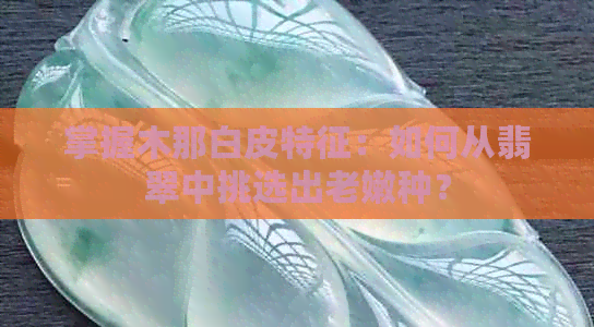 掌握木那白皮特征：如何从翡翠中挑选出老嫩种？