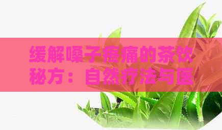 缓解嗓子疼痛的茶饮秘方：自然疗法与医生推荐的健茶选择