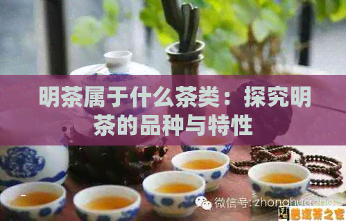 明茶属于什么茶类：探究明茶的品种与特性