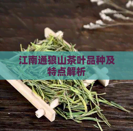 江南通狼山茶叶品种及特点解析