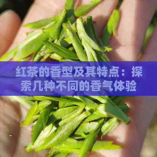 红茶的香型及其特点：探索几种不同的香气体验