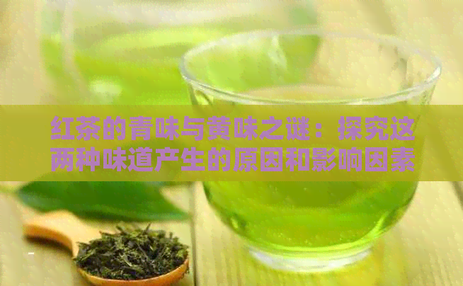 红茶的青味与黄味之谜：探究这两种味道产生的原因和影响因素