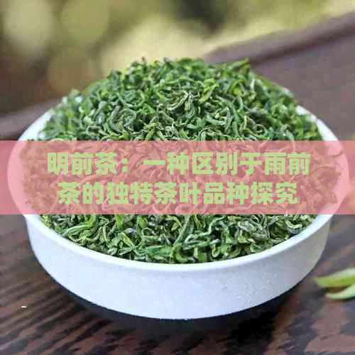 明前茶：一种区别于雨前茶的独特茶叶品种探究