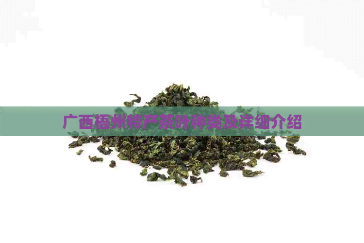 广西梧州特产茶叶种类及详细介绍