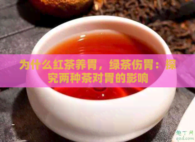 为什么红茶养胃，绿茶伤胃：探究两种茶对胃的影响