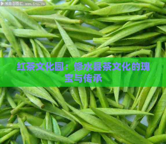 红茶文化园：修水县茶文化的瑰宝与传承