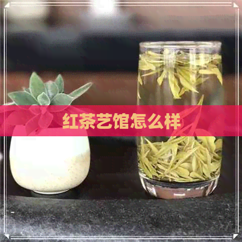 红茶艺馆怎么样