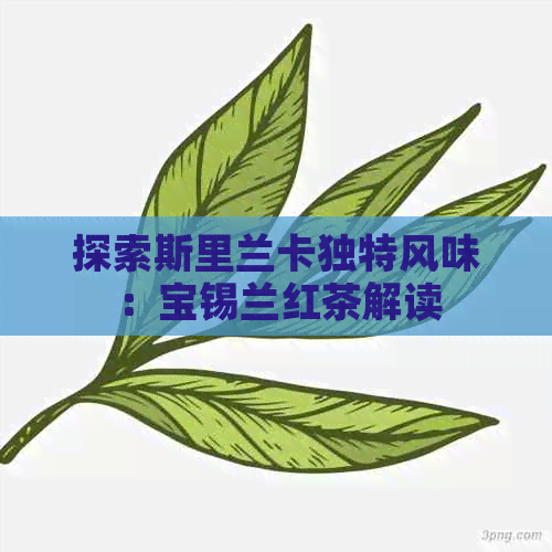 探索斯里兰卡独特风味：宝锡兰红茶解读