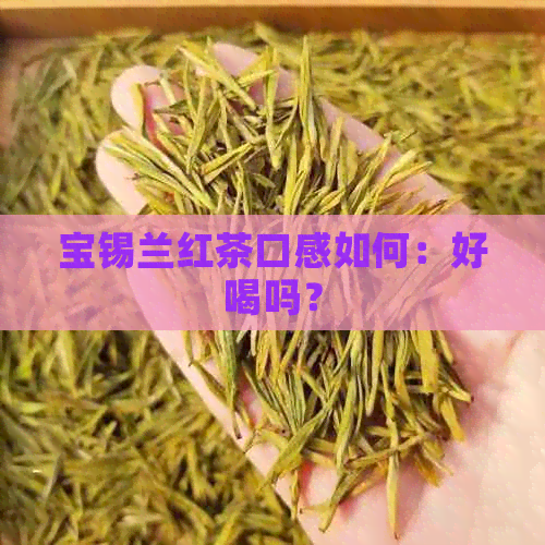 宝锡兰红茶口感如何：好喝吗？