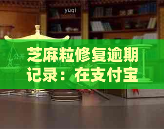 芝麻粒修复逾期记录：在支付宝中，我们可以进行几次修复？一个月可行吗？