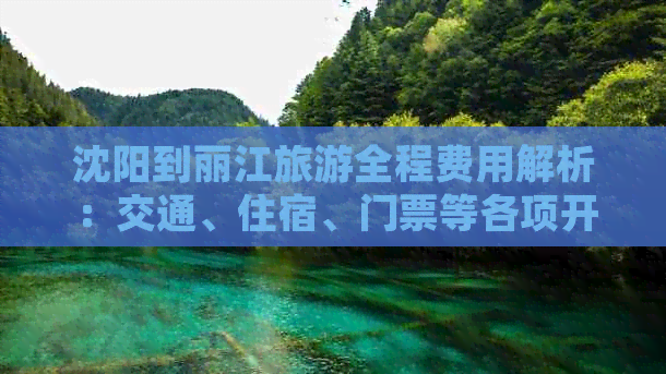 沈阳到丽江旅游全程费用解析：交通、住宿、门票等各项开支一览无余