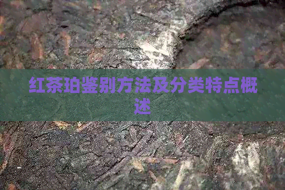 红茶珀鉴别方法及分类特点概述