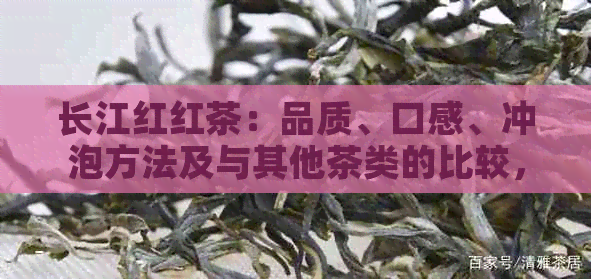 长江红红茶：品质、口感、冲泡方法及与其他茶类的比较，一篇全面解析