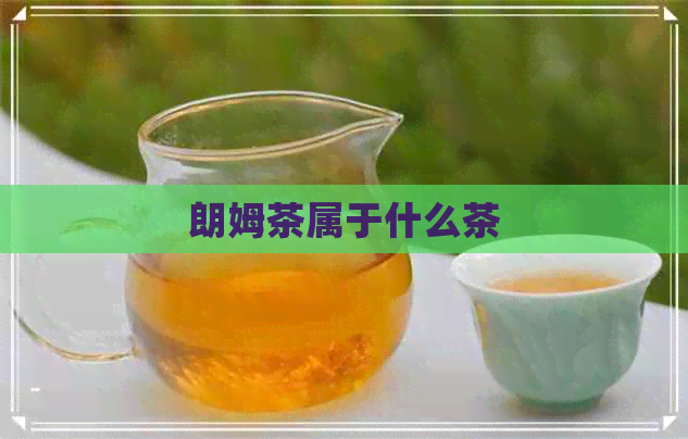 朗姆茶属于什么茶