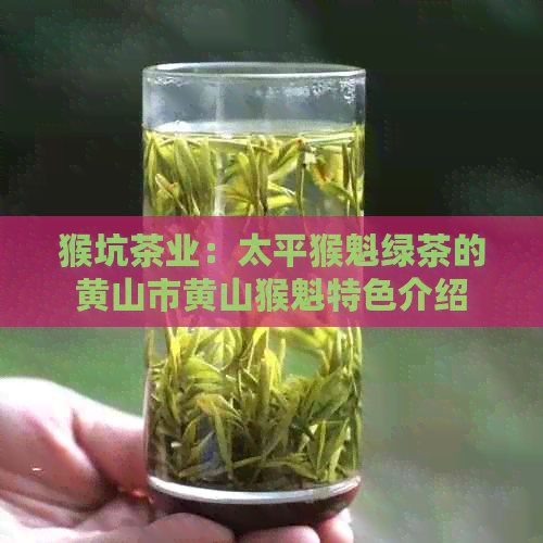 猴坑茶业：太平猴魁绿茶的黄山市黄山猴魁特色介绍