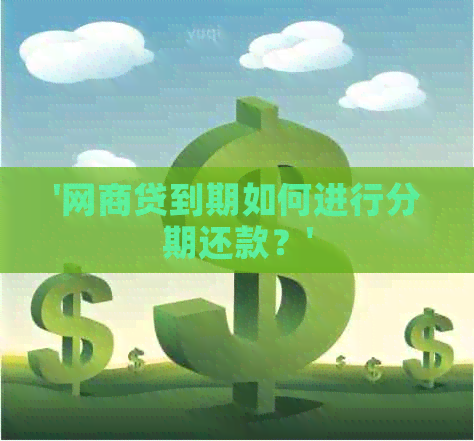 '网商贷到期如何进行分期还款？'