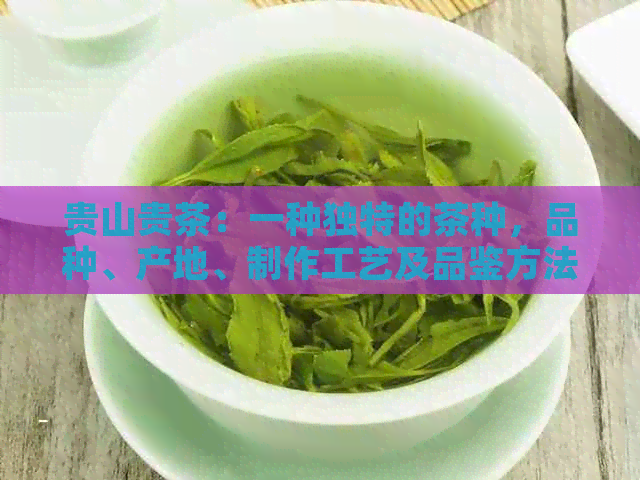 贵山贵茶：一种独特的茶种，品种、产地、制作工艺及品鉴方法的全面解析