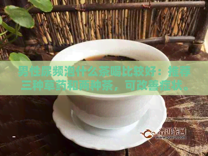 男性尿频泡什么茶喝比较好：推荐三种草药和两种茶，可改善症状。