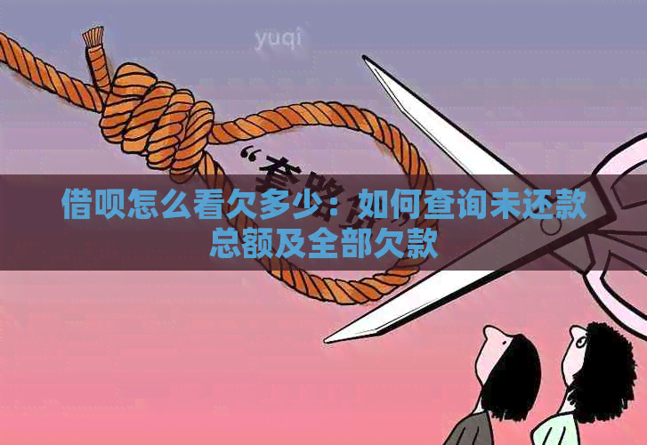 借呗怎么看欠多少：如何查询未还款总额及全部欠款