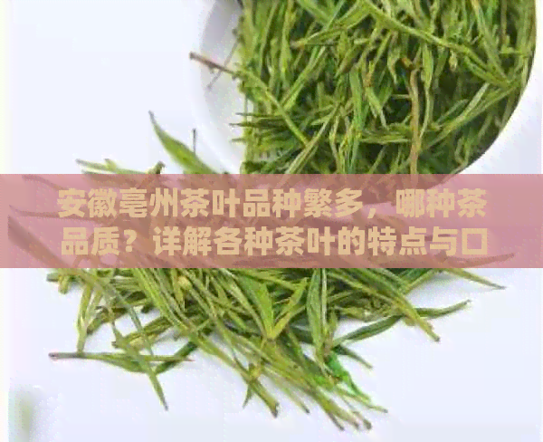 安徽亳州茶叶品种繁多，哪种茶品质？详解各种茶叶的特点与口感