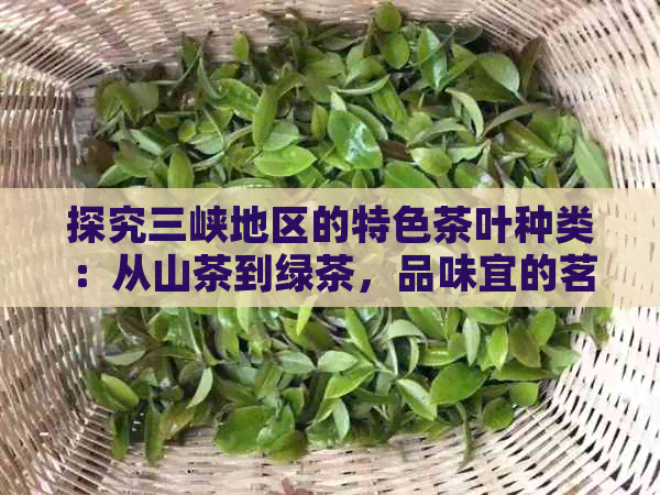 探究三峡地区的特色茶叶种类：从山茶到绿茶，品味宜的茗茶文化