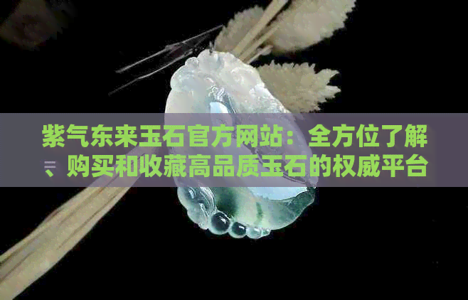 紫气东来玉石官方网站：全方位了解、购买和收藏高品质玉石的权威平台