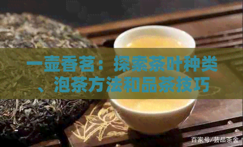 一壶香茗：探索茶叶种类、泡茶方法和品茶技巧