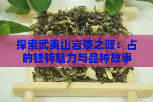 探索武夷山岩茶之源：占的独特魅力与品种故事