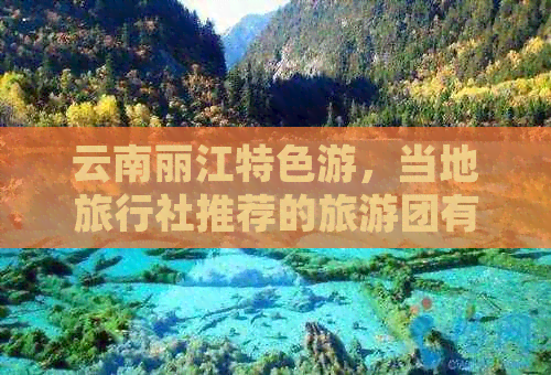 云南丽江特色游，当地旅行社推荐的旅游团有哪些？