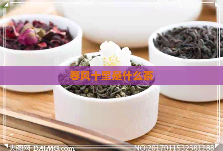 春风十里是什么茶