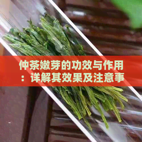 仲茶嫩芽的功效与作用：详解其效果及注意事项