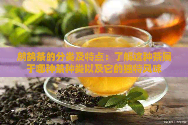 鹧鸪茶的分类及特点：了解这种茶属于哪种茶种类以及它的独特风味