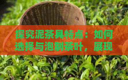 探究泥茶具特点：如何选择与泡制茶叶，展现不同茶叶风味