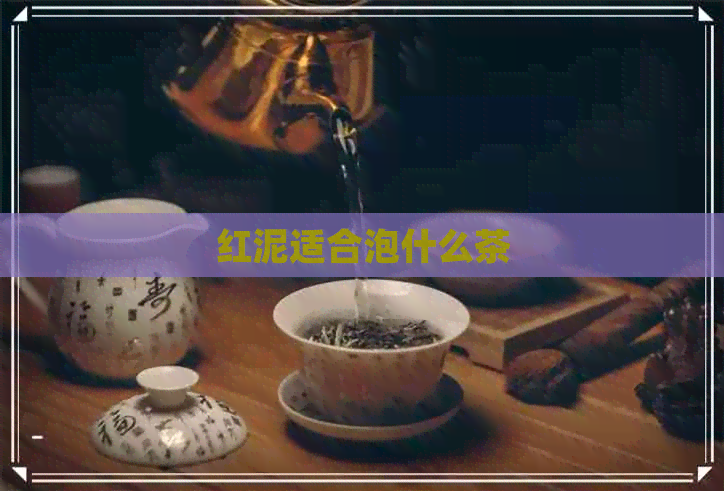 红泥适合泡什么茶