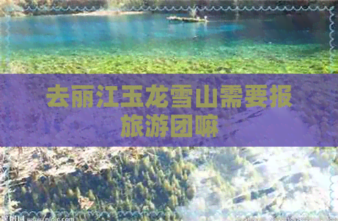 去丽江玉龙雪山需要报旅游团嘛