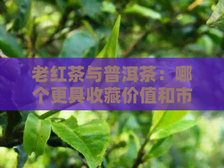 老红茶与普洱茶：哪个更具收藏价值和市场价格？