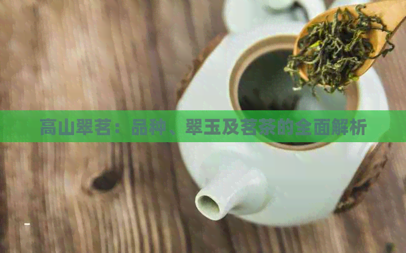 高山翠茗：品种、翠玉及茗茶的全面解析