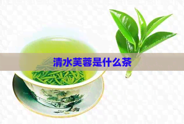 清水芙蓉是什么茶