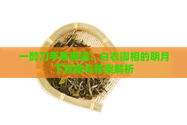 一醉刀手茶奇遇：白衣卿相的明月下攻略与答案解析