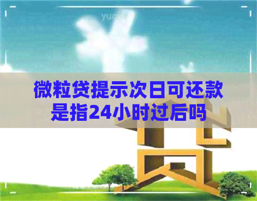 微粒贷提示次日可还款是指24小时过后吗