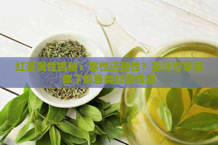 红茶属性揭秘：寒性还是性？茶叶专家带你了解各类红茶性质