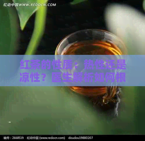 红茶的性质：热性还是凉性？医生解析如何根据体质选择最适合的茶叶