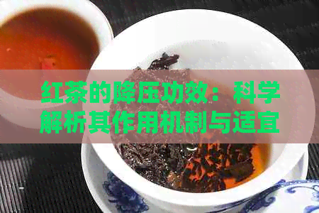 红茶的降压功效：科学解析其作用机制与适宜饮用方法