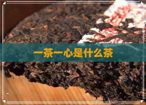 一茶一心是什么茶